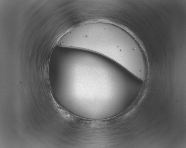 X0000078270905200611030947