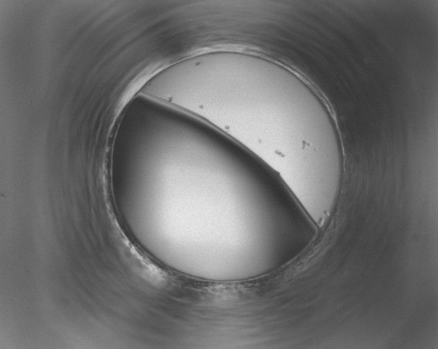 X0000078270906200611030947