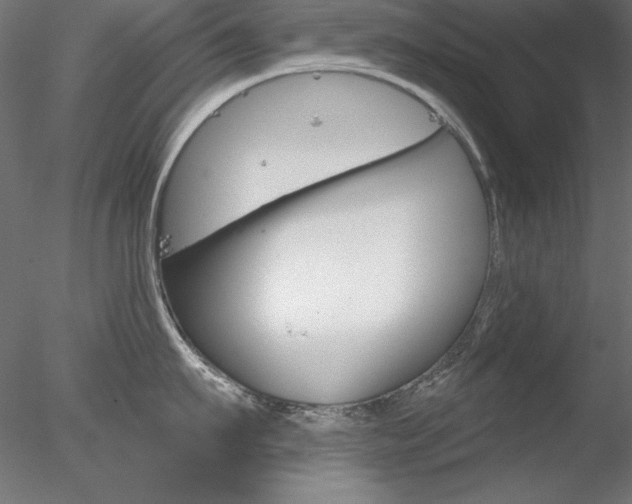X0000078270911200611030947