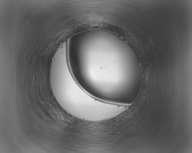 X0000078270916200611030946