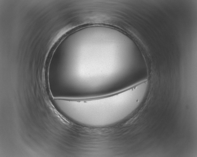 X0000078270932200611030947