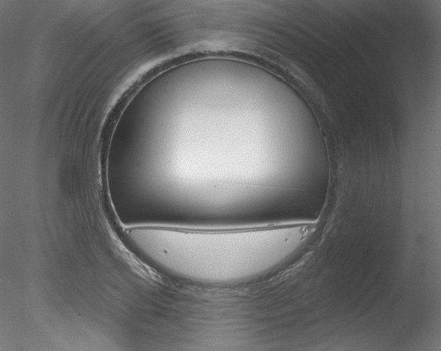 X0000078270934200611030947