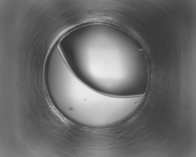 X0000078270940200611030947