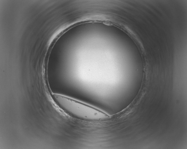 X0000078270944200611030947