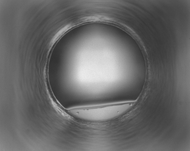 X0000078270946200611030947