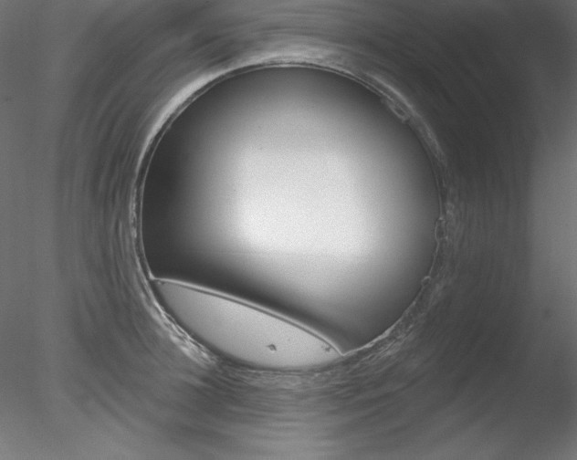 X0000078270948200611030947