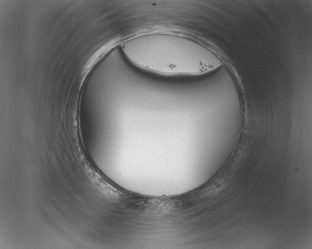 X0000078270954200611030947