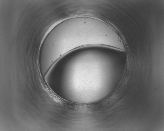 X0000078270956200611030947