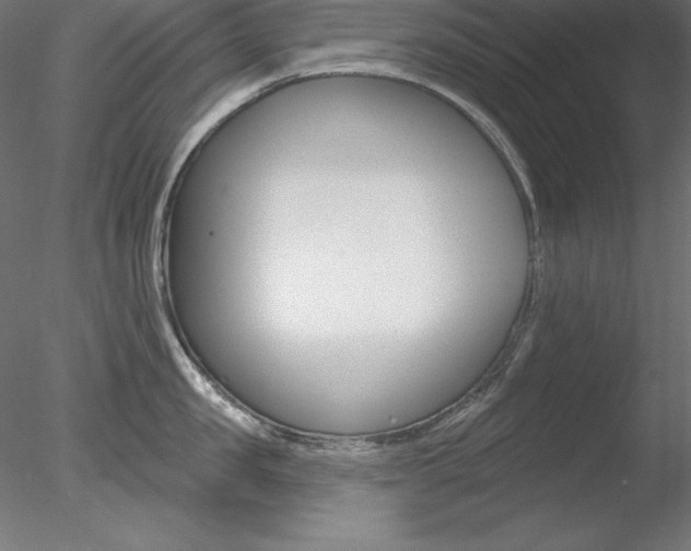 X0000078270957200611030947