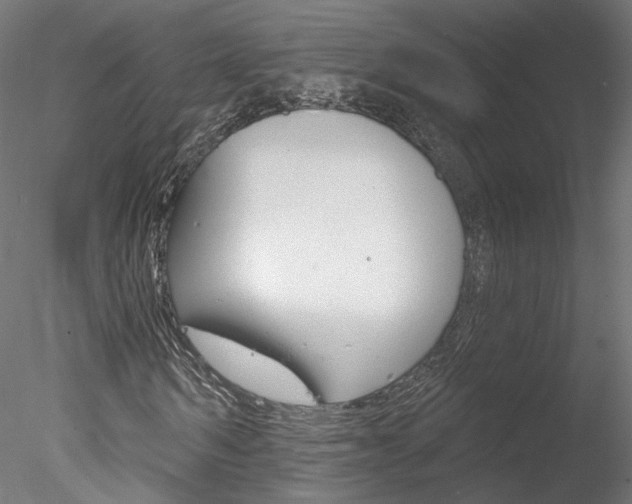 X0000078270962200611030946