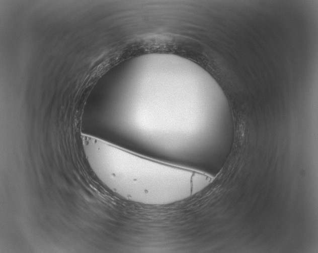 X0000078270964200611030946