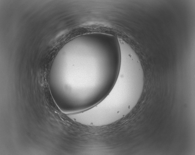 X0000078270965200611030946