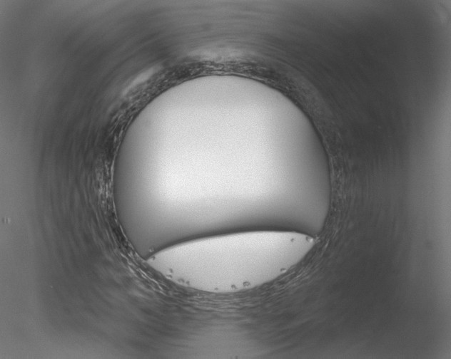 X0000078270966200611030946