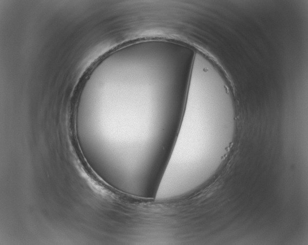 X0000078270991200611030946