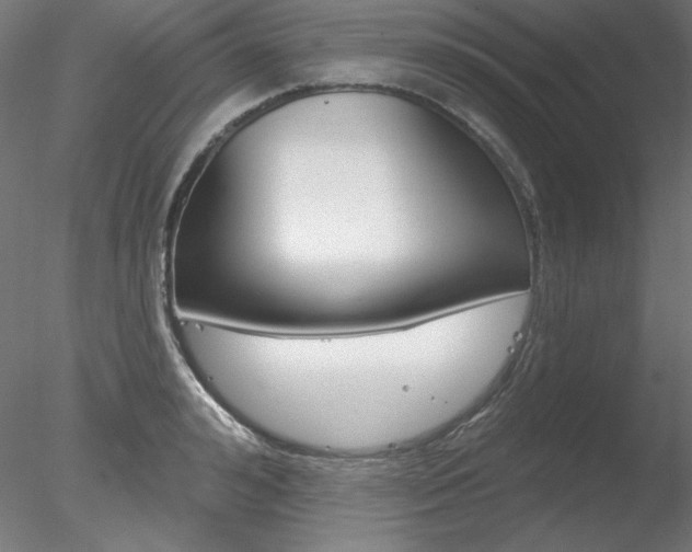 X0000078270992200611030946