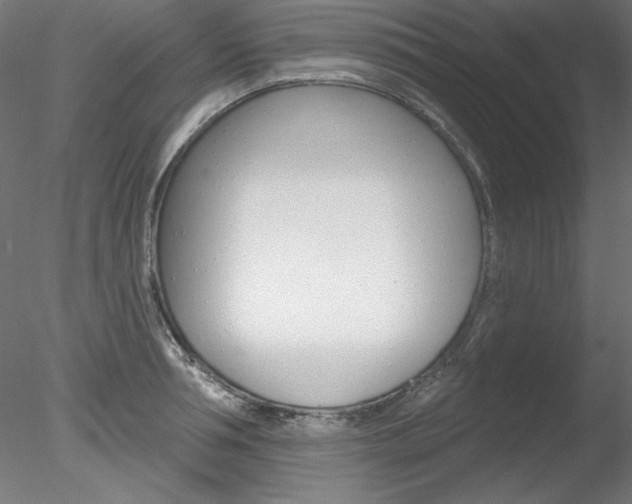 X0000078270994200611030946