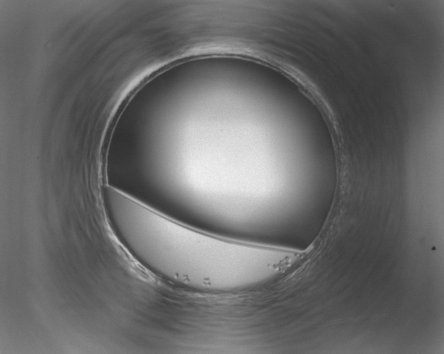 X0000078270996200611030946