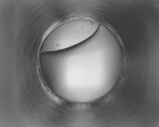 X0000078271002200611030946