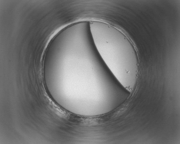 X0000078271004200611030946