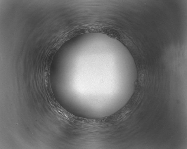 X0000078271010200611030945