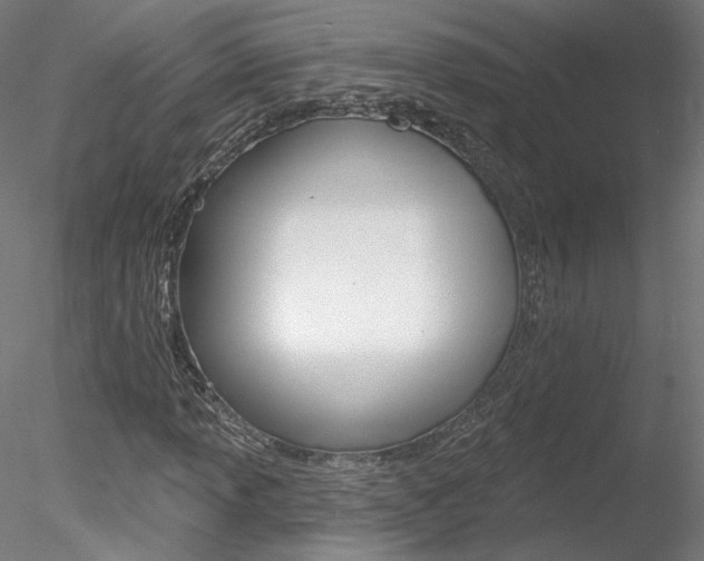 X0000078271013200611030945