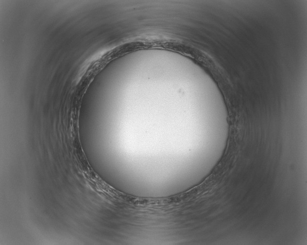 X0000078271016200611030945