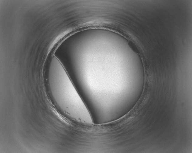 X0000078271026200611030945