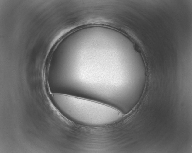 X0000078271032200611030945