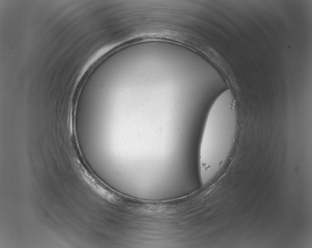 X0000078271036200611030945