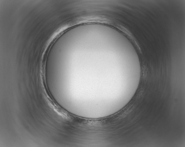 X0000078271043200611030945