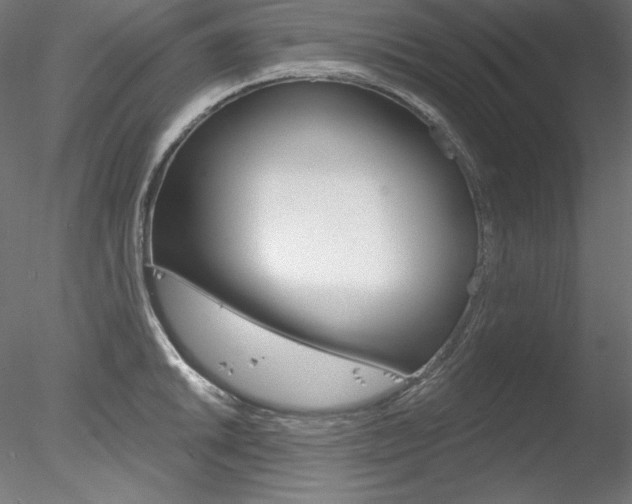 X0000078271046200611030945
