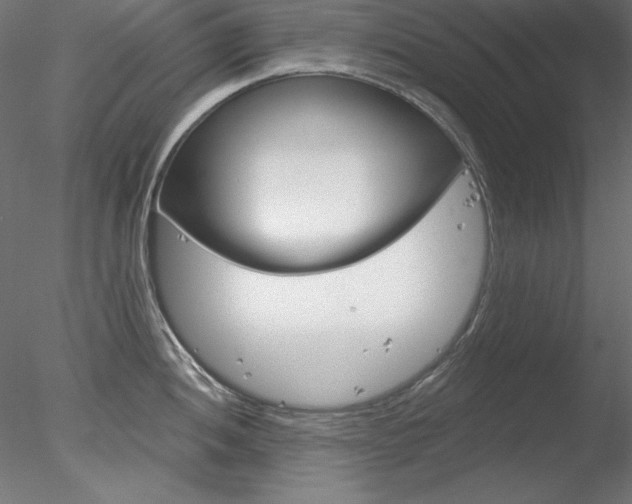 X0000078271052200611030945