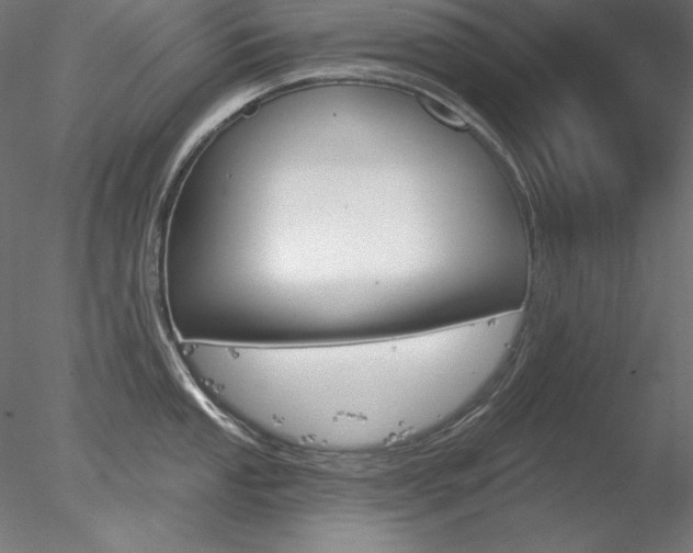 X0000078271053200611030945