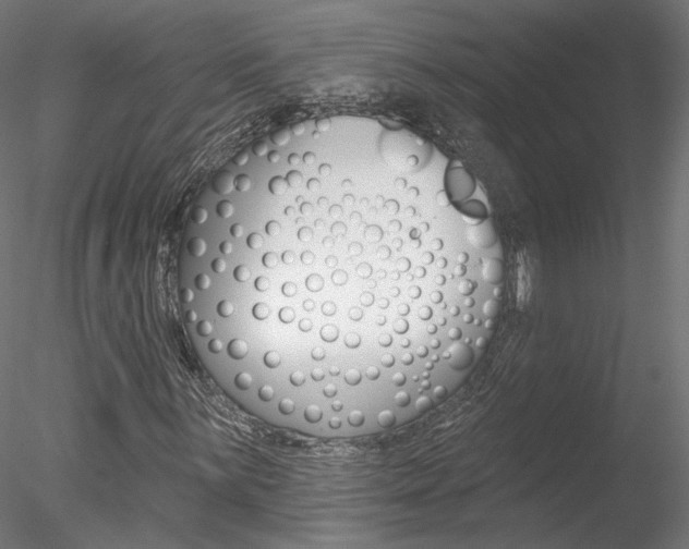 X0000078271059200611030945