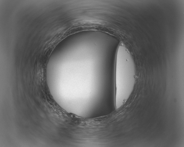 X0000078271061200611030945