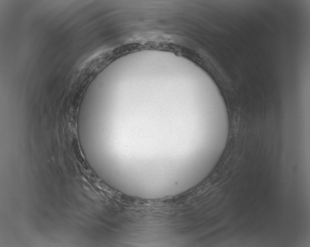 X0000078271063200611030945