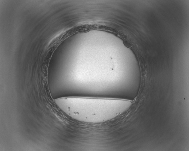 X0000078271064200611030945