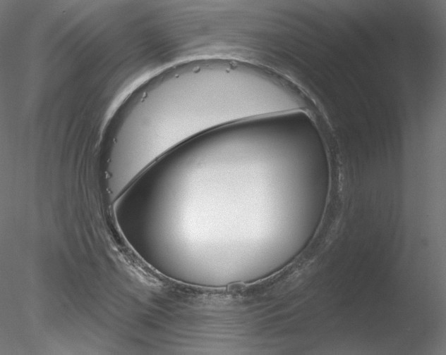 X0000078271069200611030945
