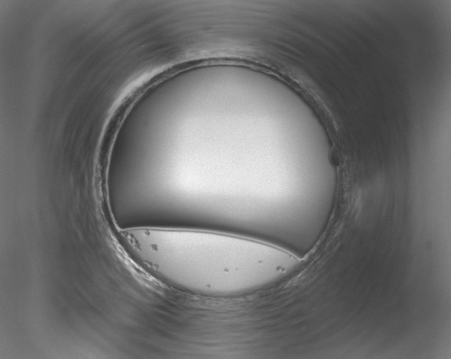 X0000078271072200611030944