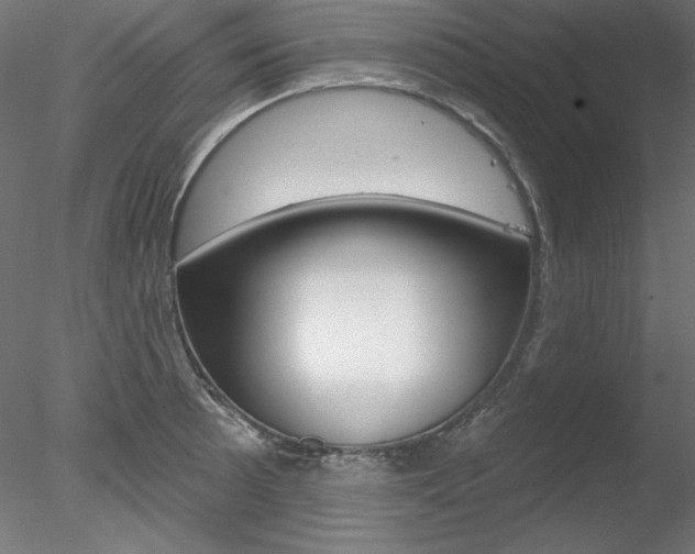X0000078271089200611030944