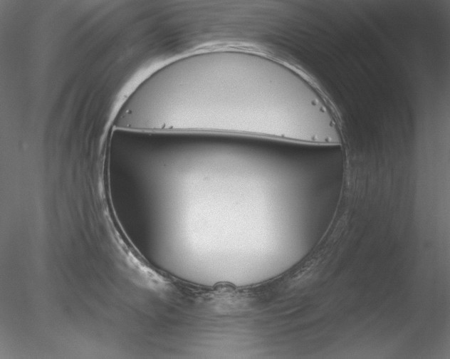 X0000078271102200611030944