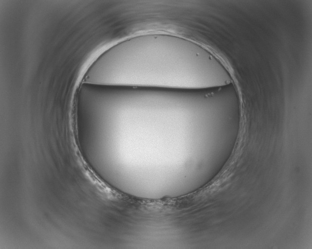 X0000078271104200611030944