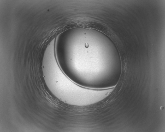 X0000078271108200611030943
