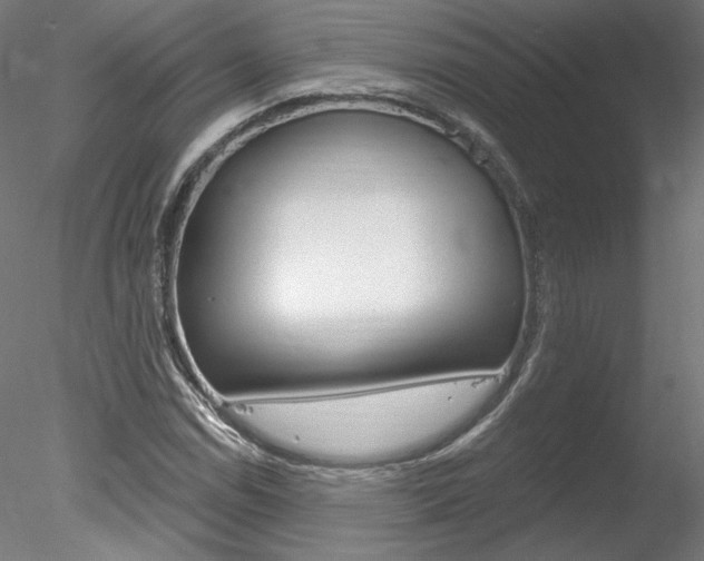X0000078271114200611030943