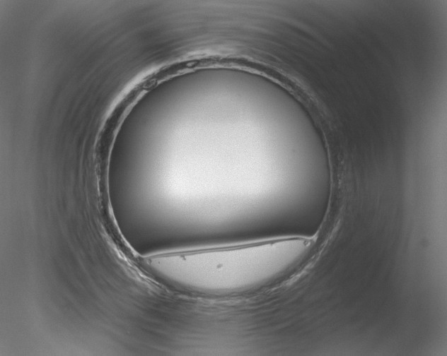 X0000078271118200611030943
