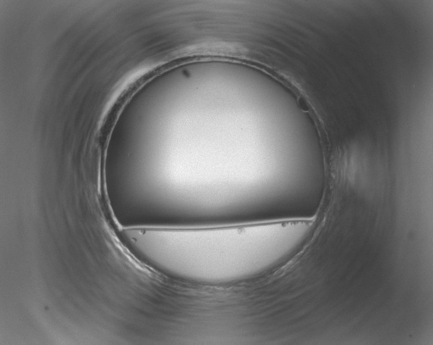 X0000078271123200611030943