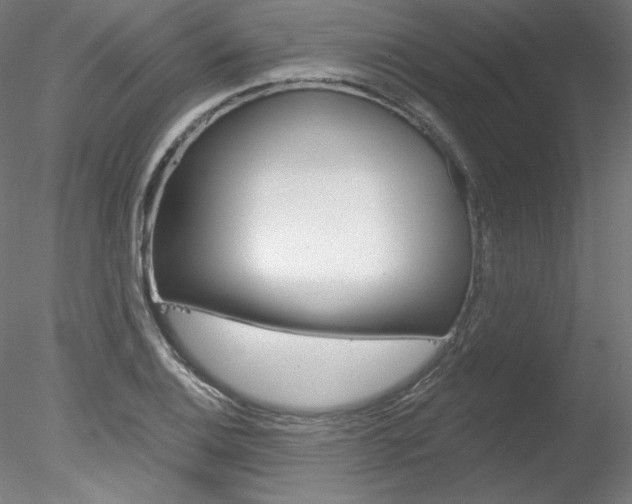 X0000078271124200611030943