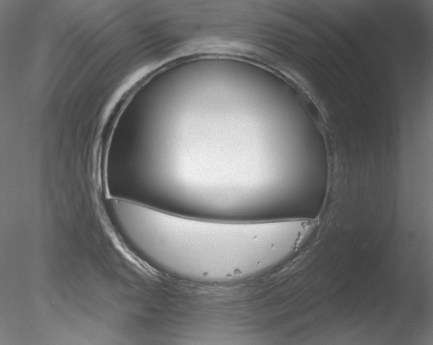 X0000078271128200611030943