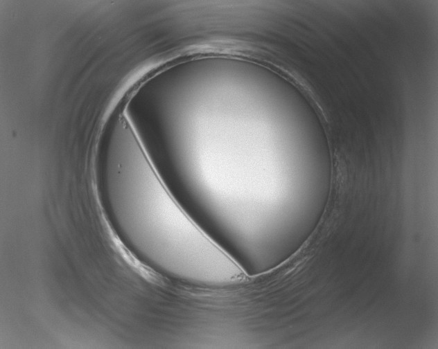 X0000078271131200611030944