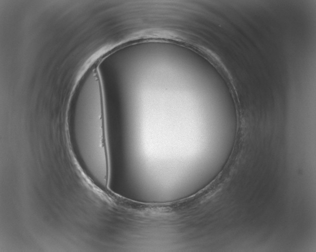X0000078271133200611030944